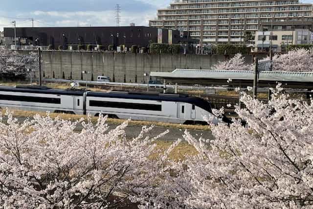 skyliner and the station and sakra